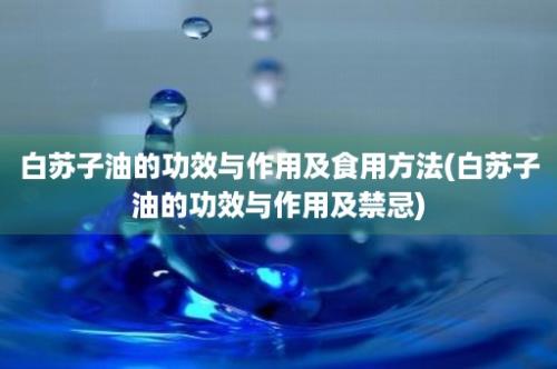 白苏子油的功效与作用及食用方法(白苏子油的功效与作用及禁忌)