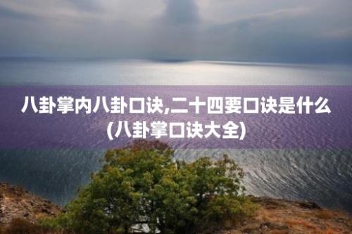 八卦掌内八卦口诀,二十四要口诀是什么(八卦掌口诀大全)