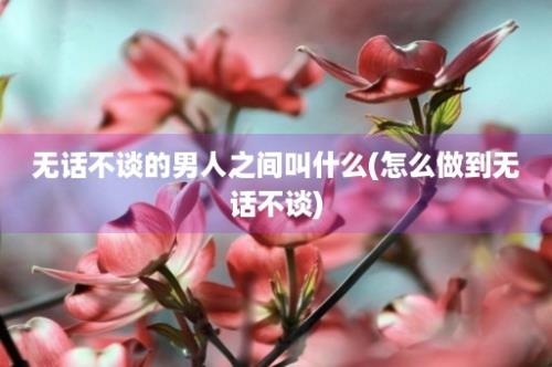 无话不谈的男人之间叫什么(怎么做到无话不谈)