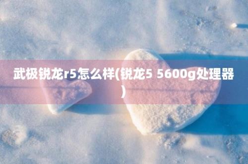 武极锐龙r5怎么样(锐龙5 5600g处理器)