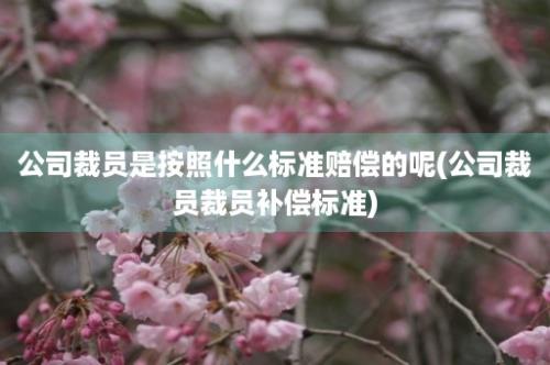 公司裁员是按照什么标准赔偿的呢(公司裁员裁员补偿标准)