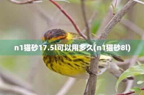 n1猫砂17.5l可以用多久(n1猫砂8l)