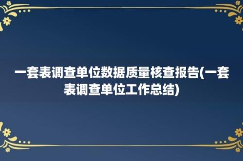 一套表调查单位数据质量核查报告(一套表调查单位工作总结)