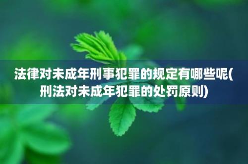 法律对未成年刑事犯罪的规定有哪些呢(刑法对未成年犯罪的处罚原则)