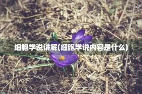 细胞学说讲解(细胞学说内容是什么)