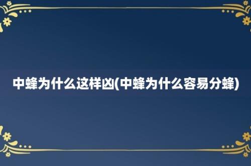 中蜂为什么这样凶(中蜂为什么容易分蜂)