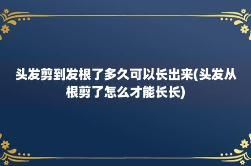 头发剪到发根了多久可以长出来(头发从根剪了怎么才能长长)