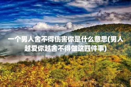 一个男人舍不得伤害你是什么意思(男人越爱你越舍不得做这四件事)