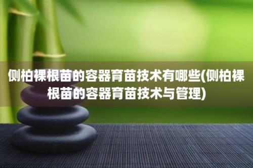 侧柏裸根苗的容器育苗技术有哪些(侧柏裸根苗的容器育苗技术与管理)