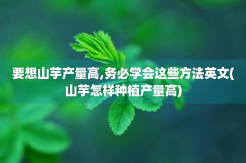 要想山芋产量高,务必学会这些方法英文(山芋怎样种植产量高)