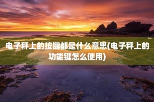 电子秤上的按键都是什么意思(电子秤上的功能键怎么使用)