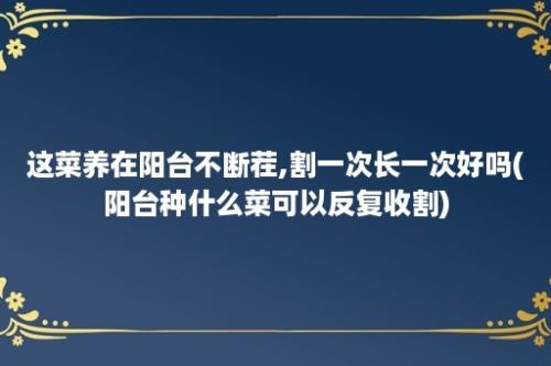 这菜养在阳台不断茬,割一次长一次好吗(阳台种什么菜可以反复收割)