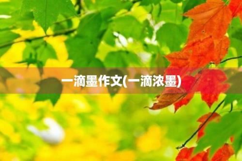 一滴墨作文(一滴浓墨)