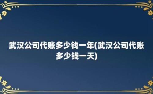 武汉公司代账多少钱一年(武汉公司代账多少钱一天)