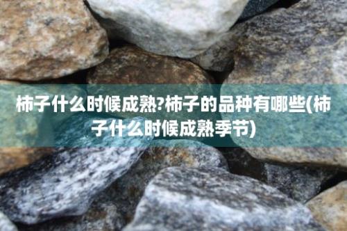 柿子什么时候成熟?柿子的品种有哪些(柿子什么时候成熟季节)