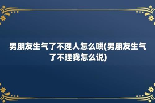 男朋友生气了不理人怎么哄(男朋友生气了不理我怎么说)