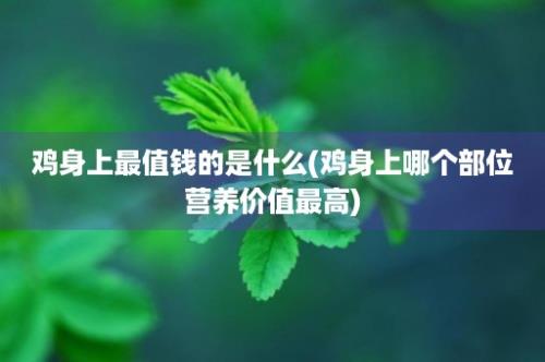 鸡身上最值钱的是什么(鸡身上哪个部位营养价值最高)