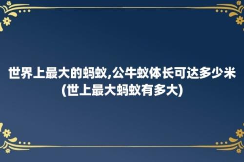 世界上最大的蚂蚁,公牛蚁体长可达多少米(世上最大蚂蚁有多大)