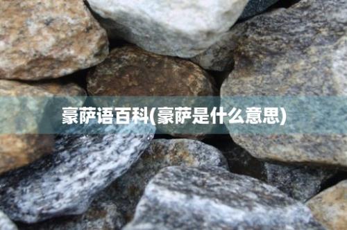 豪萨语百科(豪萨是什么意思)