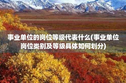 事业单位的岗位等级代表什么(事业单位岗位类别及等级具体如何划分)