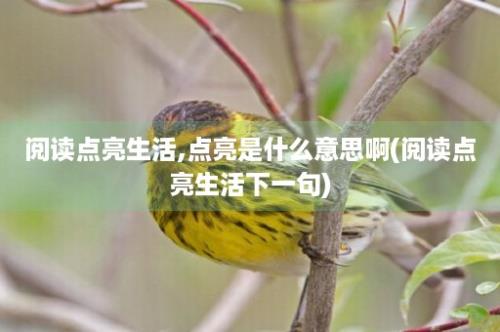 阅读点亮生活,点亮是什么意思啊(阅读点亮生活下一句)