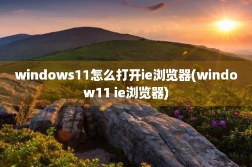 windows11怎么打开ie浏览器(window11 ie浏览器)