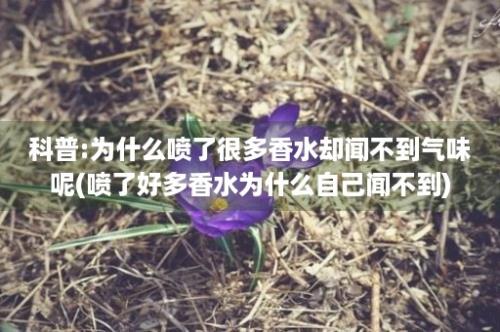 科普:为什么喷了很多香水却闻不到气味呢(喷了好多香水为什么自己闻不到)