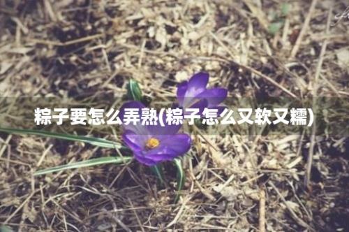 粽子要怎么弄熟(粽子怎么又软又糯)