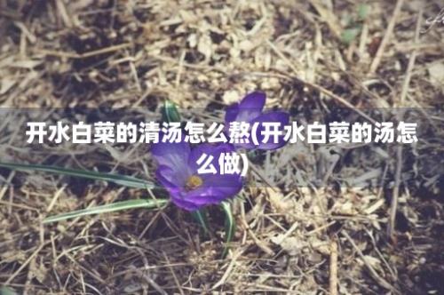 开水白菜的清汤怎么熬(开水白菜的汤怎么做)