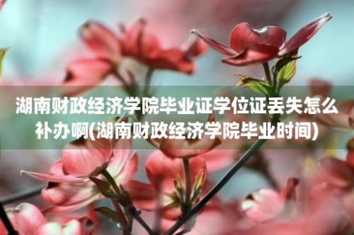 湖南财政经济学院毕业证学位证丢失怎么补办啊(湖南财政经济学院毕业时间)