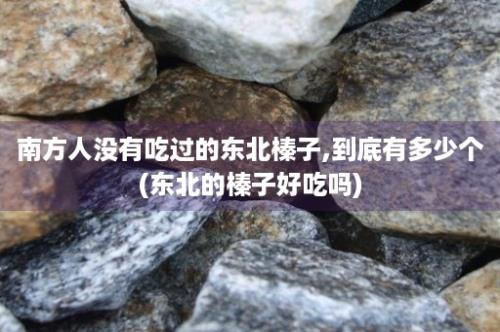 南方人没有吃过的东北榛子,到底有多少个(东北的榛子好吃吗)