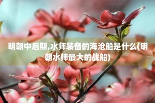 明朝中后期,水师装备的海沧船是什么(明朝水师最大的战船)