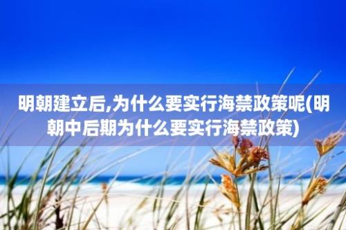 明朝建立后,为什么要实行海禁政策呢(明朝中后期为什么要实行海禁政策)