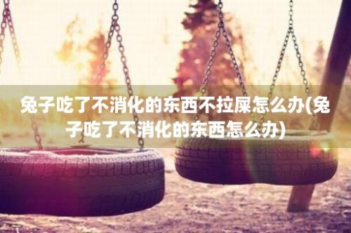 兔子吃了不消化的东西不拉屎怎么办(兔子吃了不消化的东西怎么办)