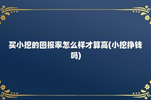 买小挖的回报率怎么样才算高(小挖挣钱吗)