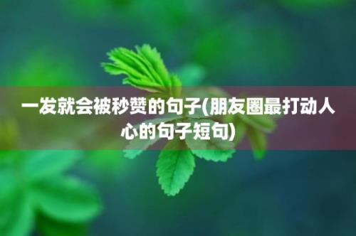 一发就会被秒赞的句子(朋友圈最打动人心的句子短句)