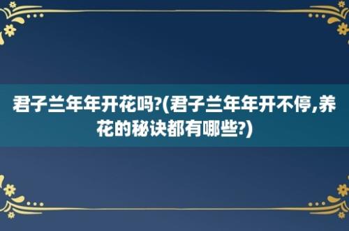 君子兰年年开花吗?(君子兰年年开不停,养花的秘诀都有哪些?)