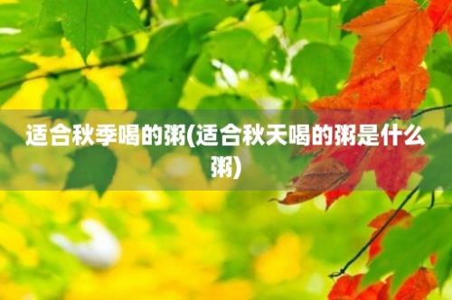 适合秋季喝的粥(适合秋天喝的粥是什么粥)