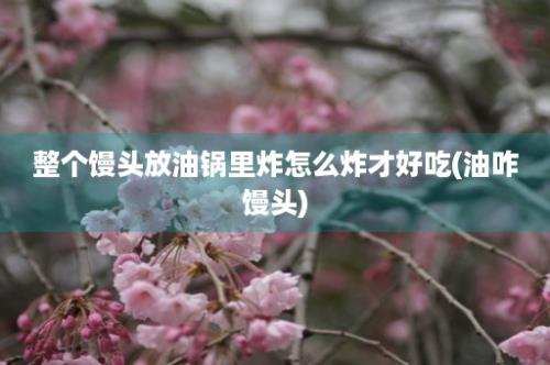 整个馒头放油锅里炸怎么炸才好吃(油咋馒头)