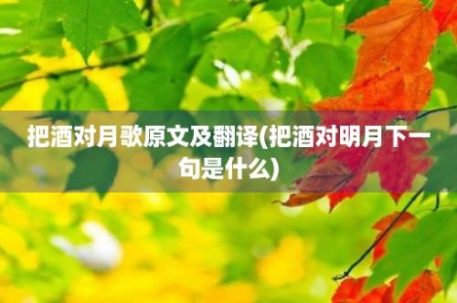 把酒对月歌原文及翻译(把酒对明月下一句是什么)