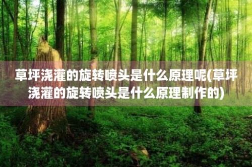 草坪浇灌的旋转喷头是什么原理呢(草坪浇灌的旋转喷头是什么原理制作的)