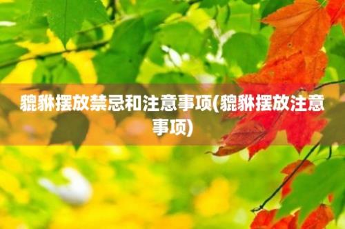 貔貅摆放禁忌和注意事项(貔貅摆放注意事项)