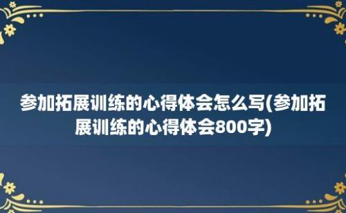 参加拓展训练的心得体会怎么写(参加拓展训练的心得体会800字)