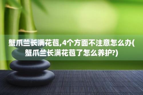 蟹爪兰长满花苞,4个方面不注意怎么办(蟹爪兰长满花苞了怎么养护?)