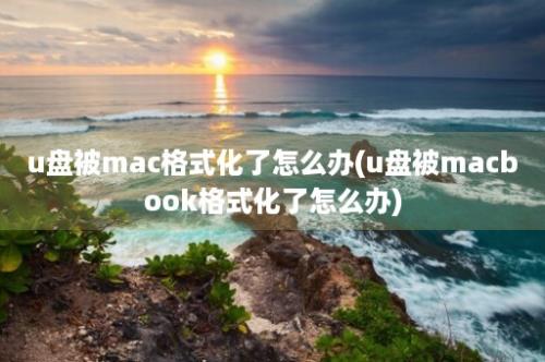 u盘被mac格式化了怎么办(u盘被macbook格式化了怎么办)