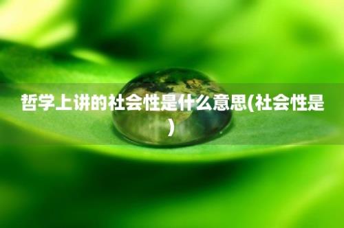 哲学上讲的社会性是什么意思(社会性是)