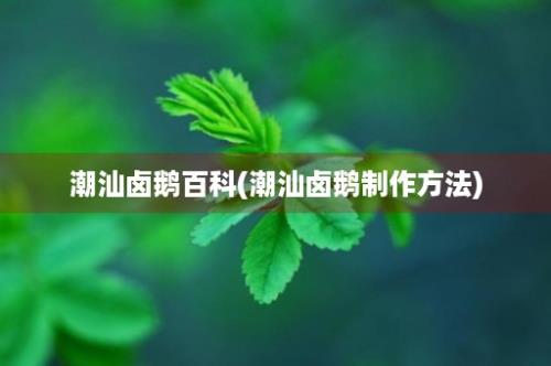 潮汕卤鹅百科(潮汕卤鹅制作方法)