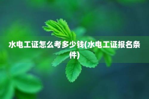 水电工证怎么考多少钱(水电工证报名条件)