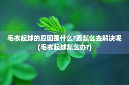 毛衣起球的原因是什么?要怎么去解决呢(毛衣起球怎么办?)