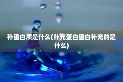 补蛋白质是什么(补充蛋白蛋白补充的是什么)